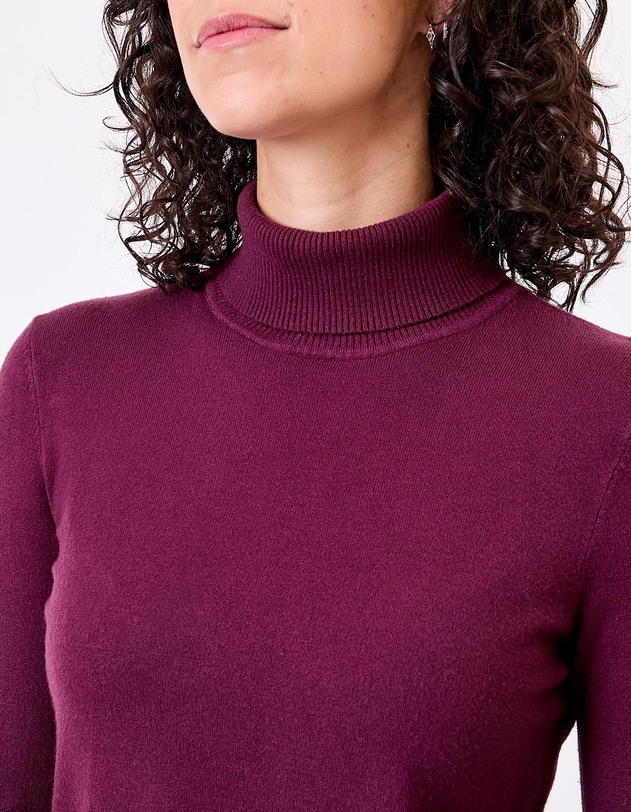 Pull maille col roul&eacute; imprim&eacute; La Fianc&eacute;e