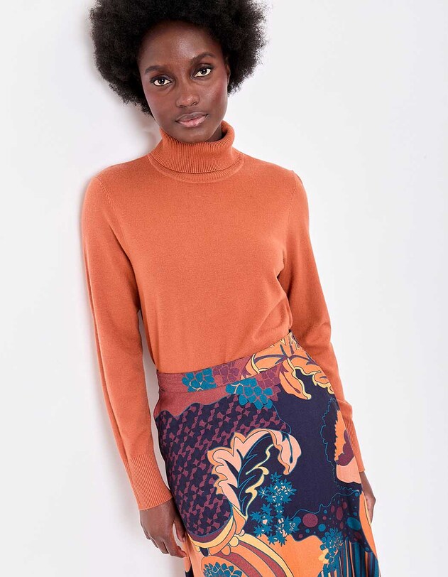 Pull maille col roul&eacute; imprim&eacute; La Fianc&eacute;e