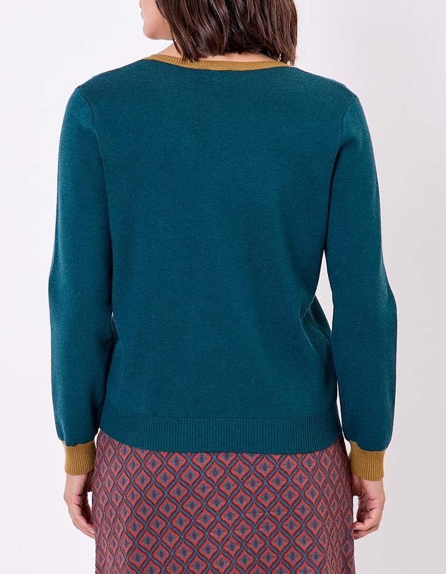 Pull maille &eacute;paisse col V imprim&eacute; Princesse Nomade